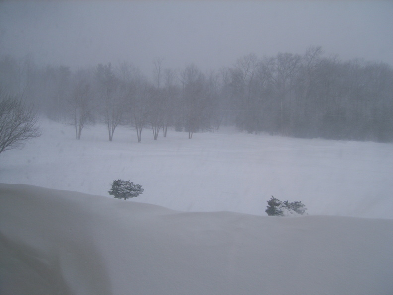 RIMG0235.JPG