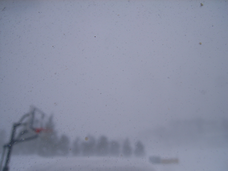 RIMG0245.JPG
