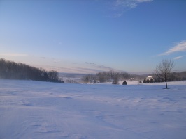 RIMG0348