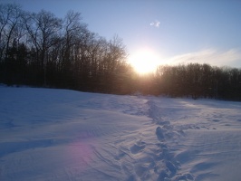 RIMG0356