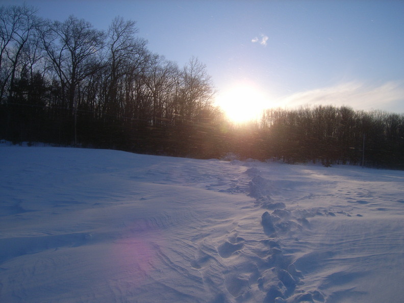 RIMG0356.JPG